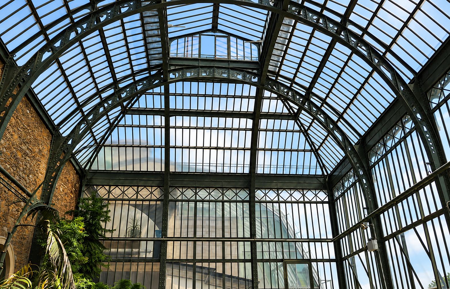 Vue depuis l'intérieur d'une grande serre ancienne dont la voûte vitrée repose sur une armature en métal sombre, avec un mur de pierre et quelques plantes à gauche.